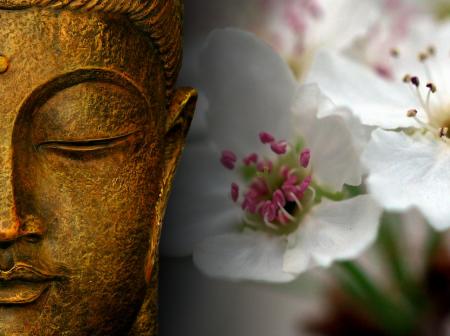 File:Buddha-zen-flowers thumb.jpg