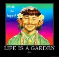 Life-is-a-garden.jpg