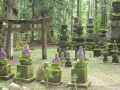 Okunoin Cemetery, Koyasan, Japan.JPG