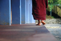 SL Walking meditation.jpg