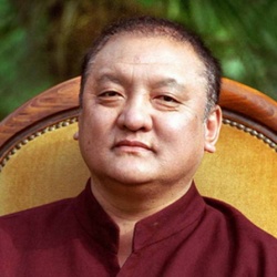 Shamar Rinpoche445.jpg