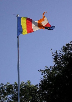 429px-Buddha flag.jpg
