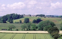 800px-View harnham hill.jpg