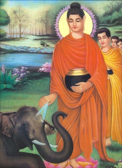 Buddha28.jpg
