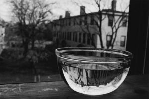 Water-bowl-at-window.jpg