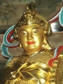 Wei Tuo Bodhisattva-wt24.jpg