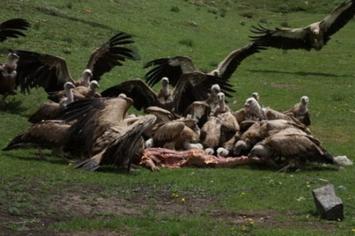 Sky Burial - Tibetan Buddhist Encyclopedia