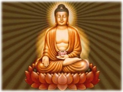 Buddha lotus01.jpg