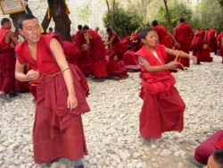 Young monks of Drepung.jpg