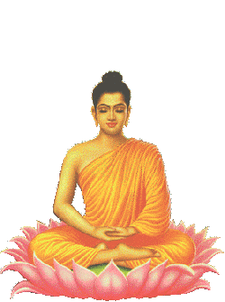 BuddhaLiik-0.gif