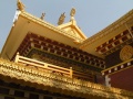 Thrangu Tashi Yangtse Temple.JPG