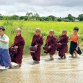 Little monks walking.jpg