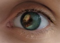 Eyes.jpg
