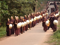 TNH monks.jpg