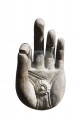 Buddha’s palm with wheel.jpg