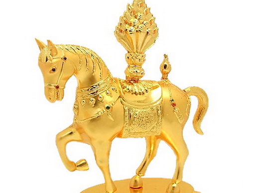 File:Horse cinntamani.jpg