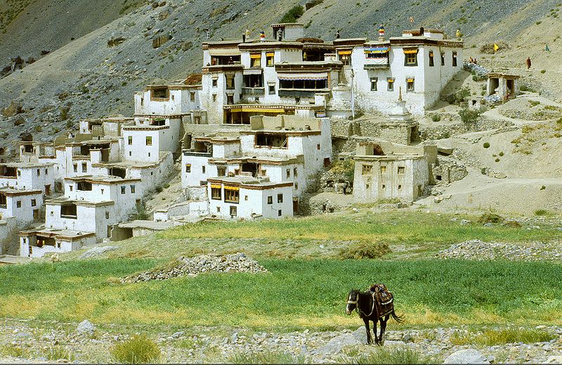 File:Zanskar Lingshed.jpg