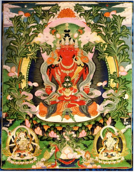 File:Amitajus-0007.JPG