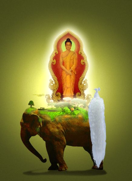 File:9036.jpg