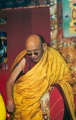Trulshik Rinpoché, 2008 .jpg