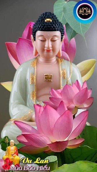 File:Bbv.jpg