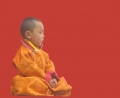 20 Kushok Bakula Rinpoche 2010-07-22.jpg
