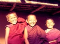 Young-monks443.jpg