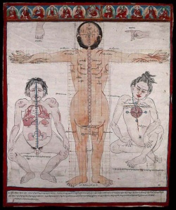 Drawing-of-Three-Anatomical-Figures.jpg